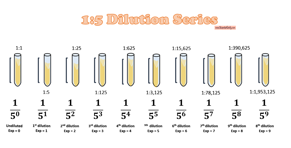 A 1 to 5 dilution series