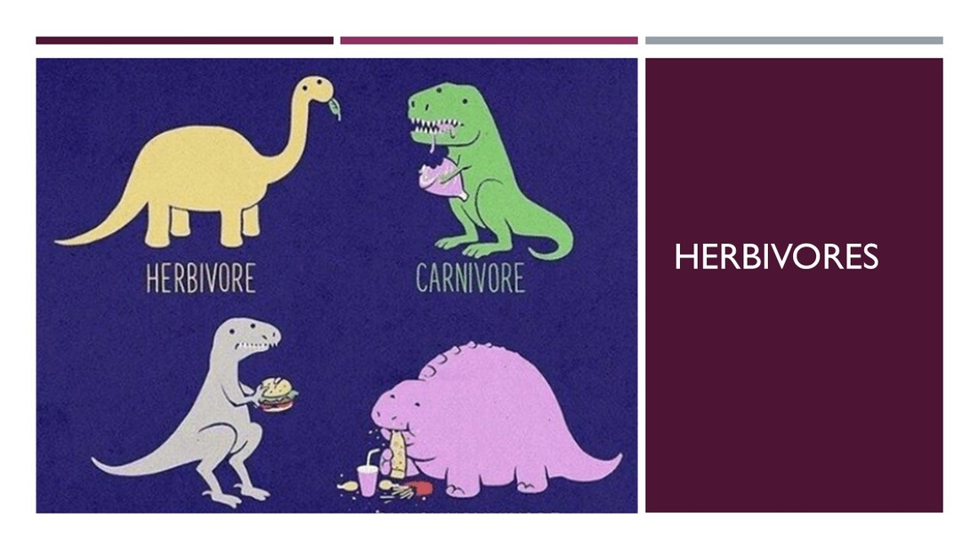 Herbivory - SCIENTIST CINDY