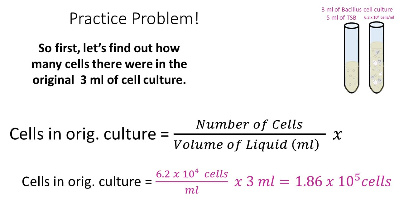 Dilution Series and Calculations - SCIENTIST CINDY